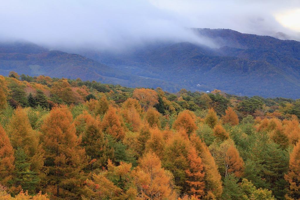 Kiyosato Pension Izumi Hokuto  Buitenkant foto