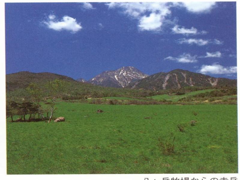 Kiyosato Pension Izumi Hokuto  Buitenkant foto